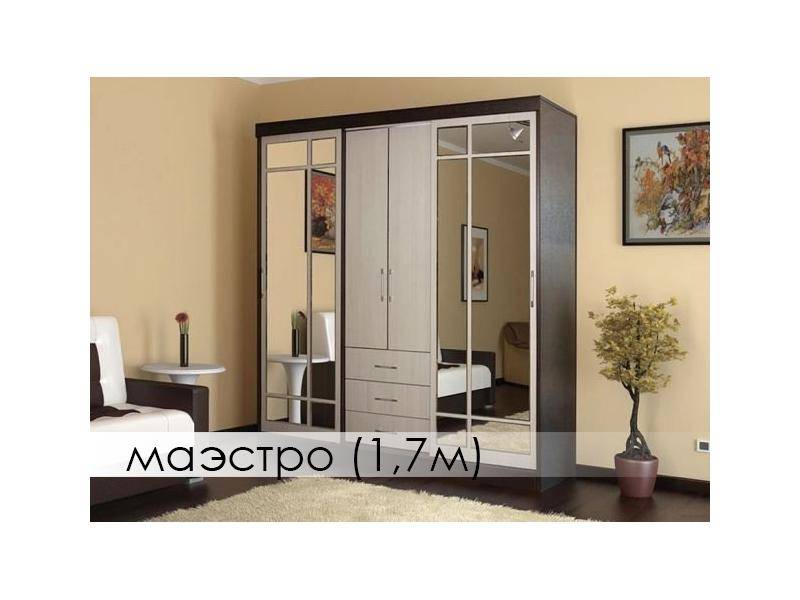 шкаф-купе маэстро в Сыктывкаре