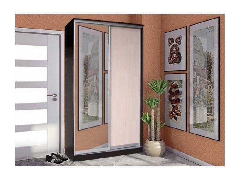 шкаф-купе 2 створки с зеркалом стандарт в Сыктывкаре