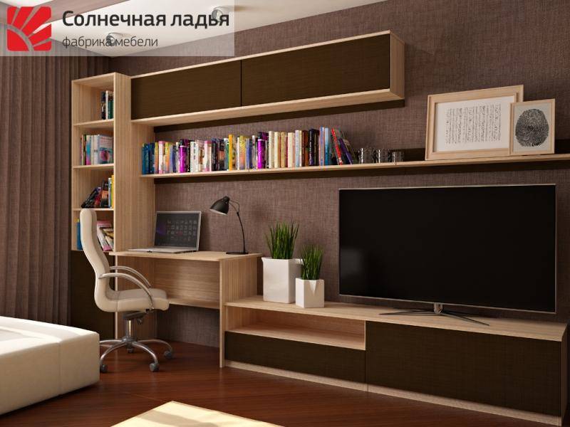 шкаф - купе для гостиной 13 в Сыктывкаре