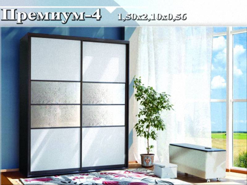 шкаф-купе «премиум 4» в Сыктывкаре