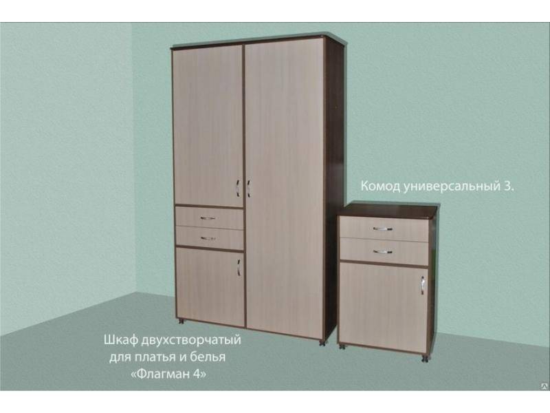 шкаф двухстворчатый для платья и белья флагман 4 в Сыктывкаре