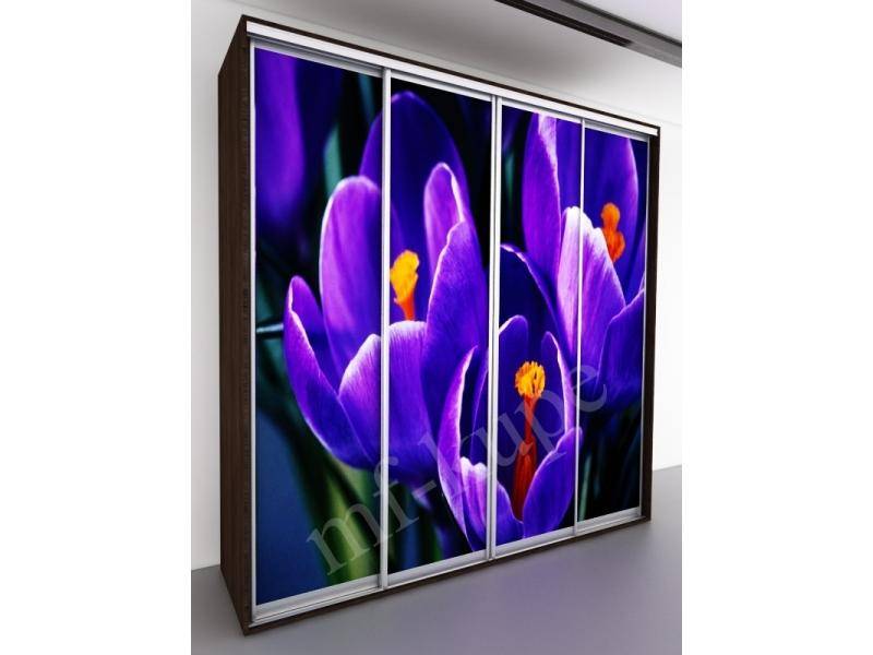 шкаф-купе бергамо violet 4 в Сыктывкаре