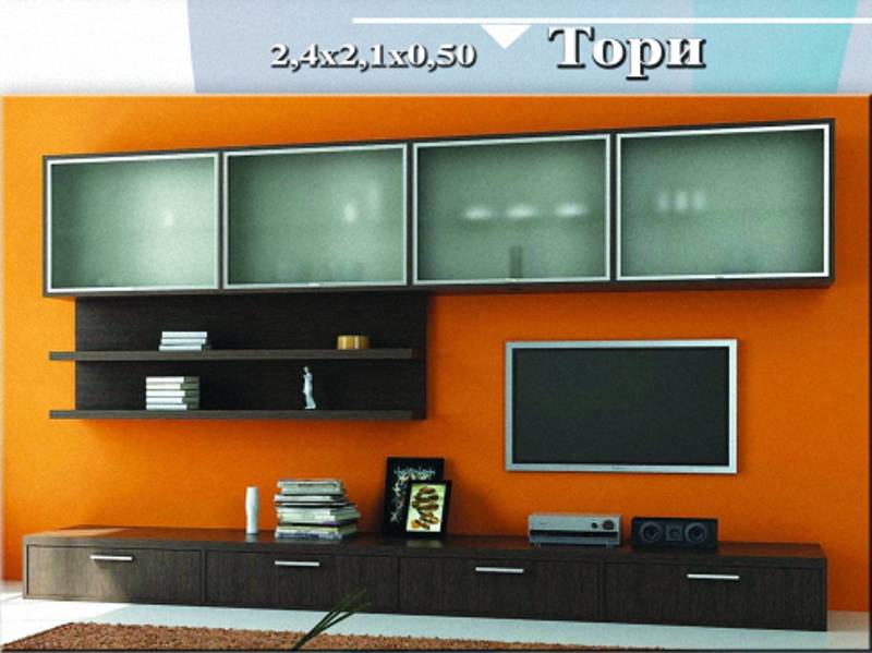 стенка «тори» в Сыктывкаре