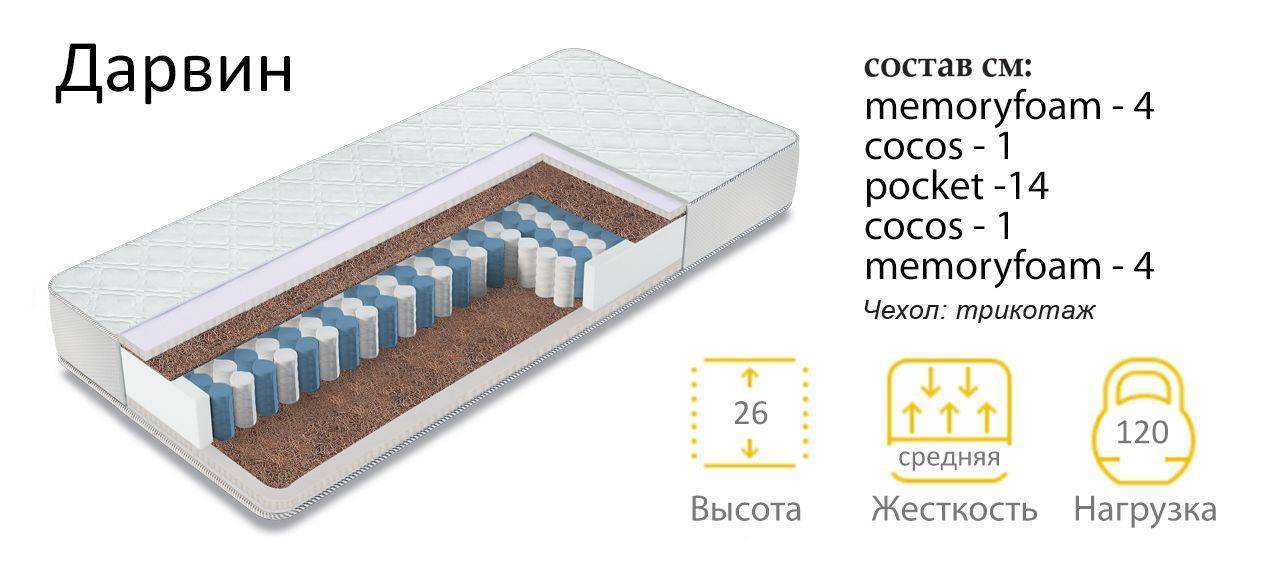 матрас дарвин в Сыктывкаре