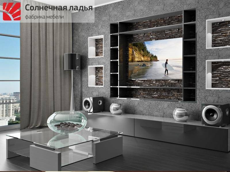шкаф - купе для гостиной 12 в Сыктывкаре