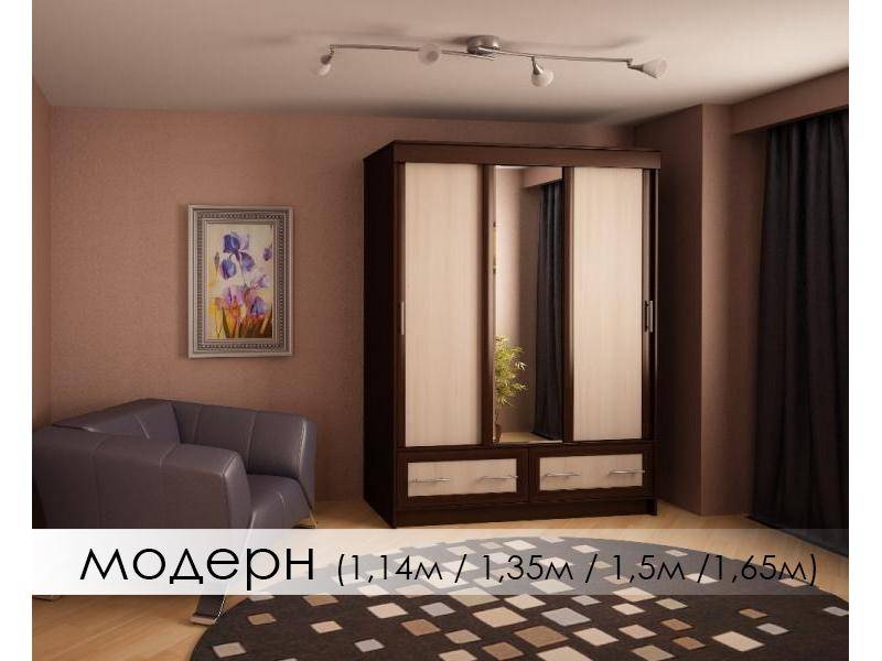 шкаф-купе модерн в Сыктывкаре