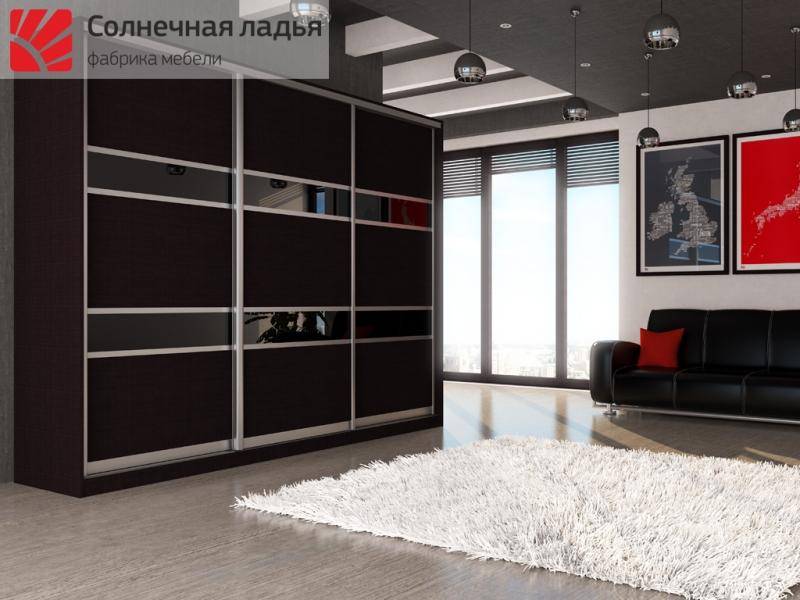 шкаф - купе для гостиной 5 в Сыктывкаре