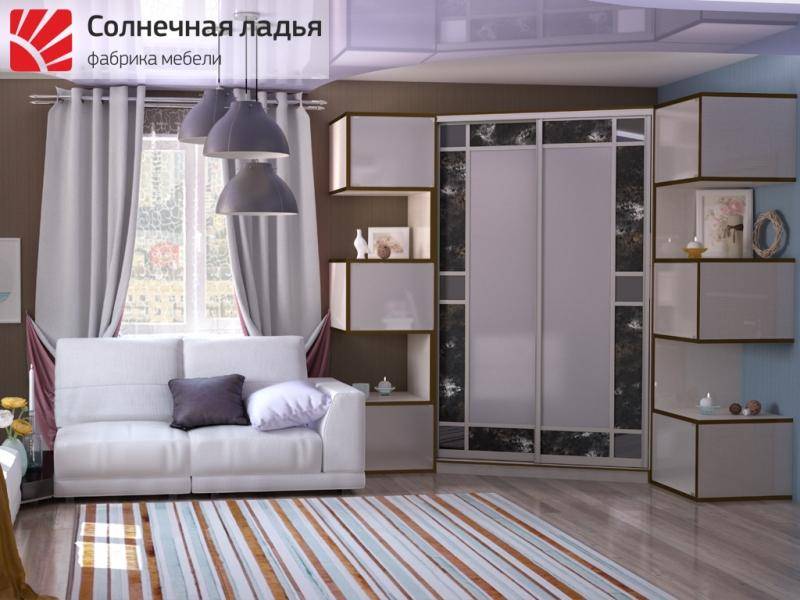 шкаф - купе для гостиной 16 в Сыктывкаре
