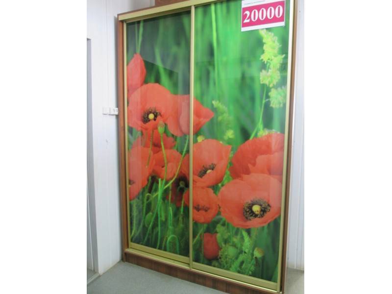 шкаф-купе 00002 в Сыктывкаре