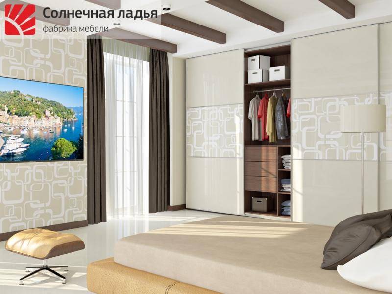 шкаф - купе для гостиной 8 в Сыктывкаре