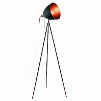 торшер eglo chester 49386 в Сыктывкаре