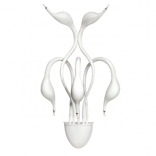 бра lightstar cigno collo wt 751656 в Сыктывкаре