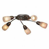 потолочная люстра lussole cevedale grlsq-6907-05 в Сыктывкаре