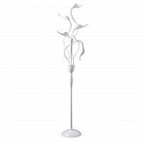 торшер lightstar cigno collo wt 751766 в Сыктывкаре