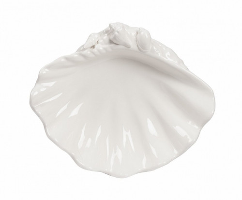 декоративное блюдо seashell в Сыктывкаре
