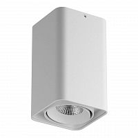 потолочный светодиодный светильник lightstar monocco 052136r в Сыктывкаре