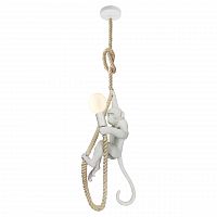 подвесной светильник lussole loft aya grlsp-9993 в Сыктывкаре