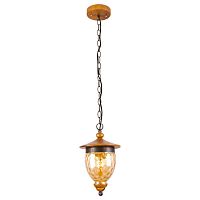 подвесной светильник arte lamp catena a6711sp-1br в Сыктывкаре