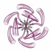 бра lightstar stella 892668 в Сыктывкаре