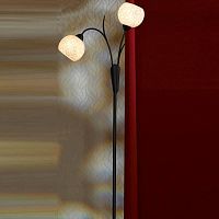 торшер lussole bagheria grlsf-6295-02 в Сыктывкаре