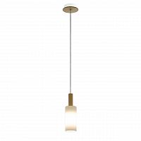 подвесной светильник eglo oakham 49758 в Сыктывкаре