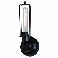 бра st luce filo sld968.401.01 в Сыктывкаре