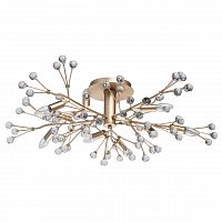 потолочная люстра mw-light адриатика 280011810 в Сыктывкаре