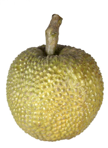 декор durian в Сыктывкаре