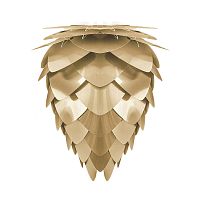 плафон conia brushed brass в Сыктывкаре