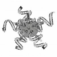бра lightstar spider 742654 в Сыктывкаре